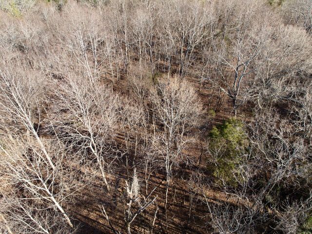 0 Dillards Hill RD, Union Hall, VA 24176
