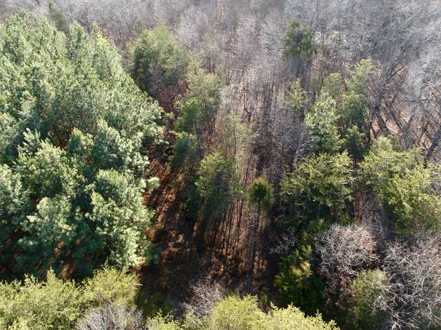 0 Dillards Hill RD, Union Hall, VA 24176