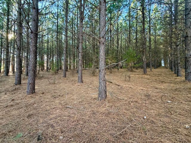 0 Dillards Hill RD, Union Hall, VA 24176