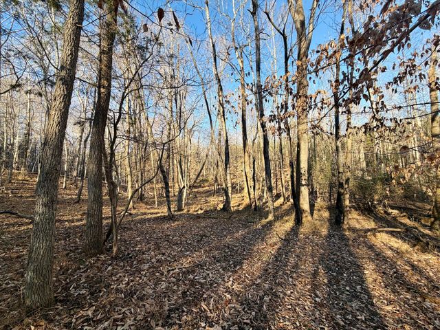 0 Dillards Hill RD, Union Hall, VA 24176