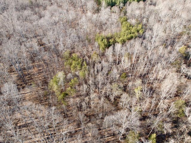 0 Dillards Hill RD, Union Hall, VA 24176