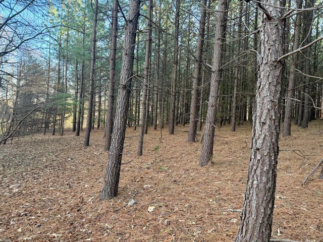 0 Dillards Hill RD, Union Hall, VA 24176