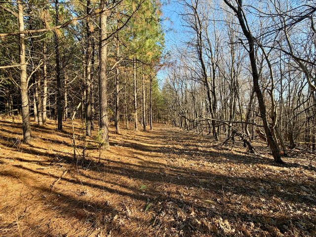 0 Dillards Hill RD, Union Hall, VA 24176