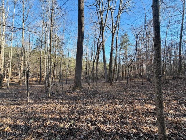 0 Dillards Hill RD, Union Hall, VA 24176