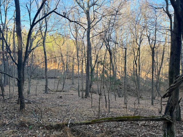0 Dillards Hill RD, Union Hall, VA 24176