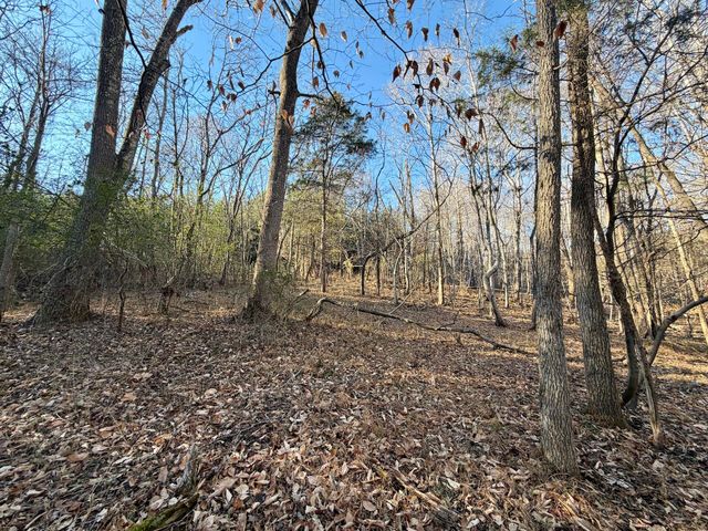 0 Dillards Hill RD, Union Hall, VA 24176