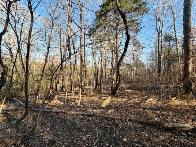 0 Dillards Hill RD, Union Hall, VA 24176