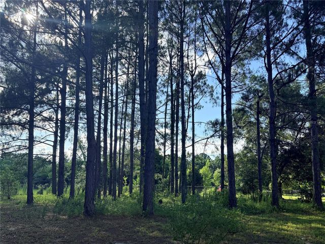 259 SE RATTLER COURT, High Springs, FL 32643