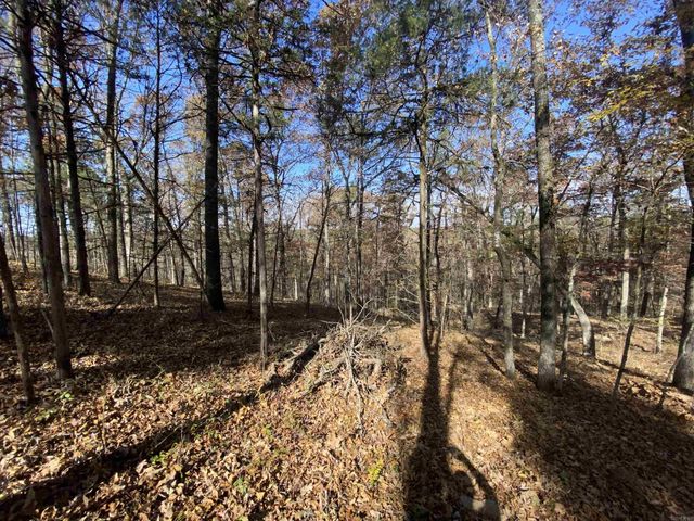 375 Batesville Mountain Road, Damascus, AR 72039