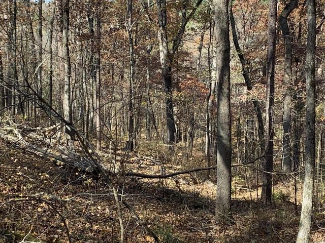 375 Batesville Mountain Road, Damascus, AR 72039