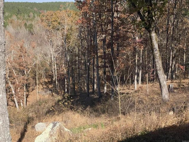 375 Batesville Mountain Road, Damascus, AR 72039