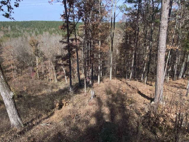 375 Batesville Mountain Road, Damascus, AR 72039