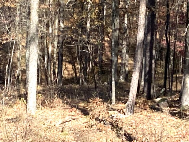 375 Batesville Mountain Road, Damascus, AR 72039