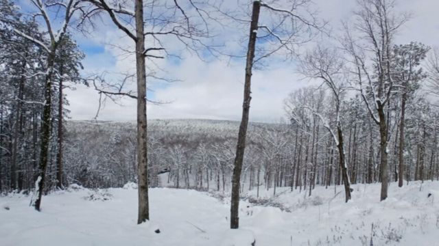 375 Batesville Mountain Road, Damascus, AR 72039