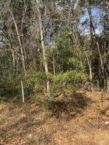 0 Robertson Boulevard, Walterboro, SC 29488