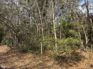 0 Robertson Boulevard, Walterboro, SC 29488