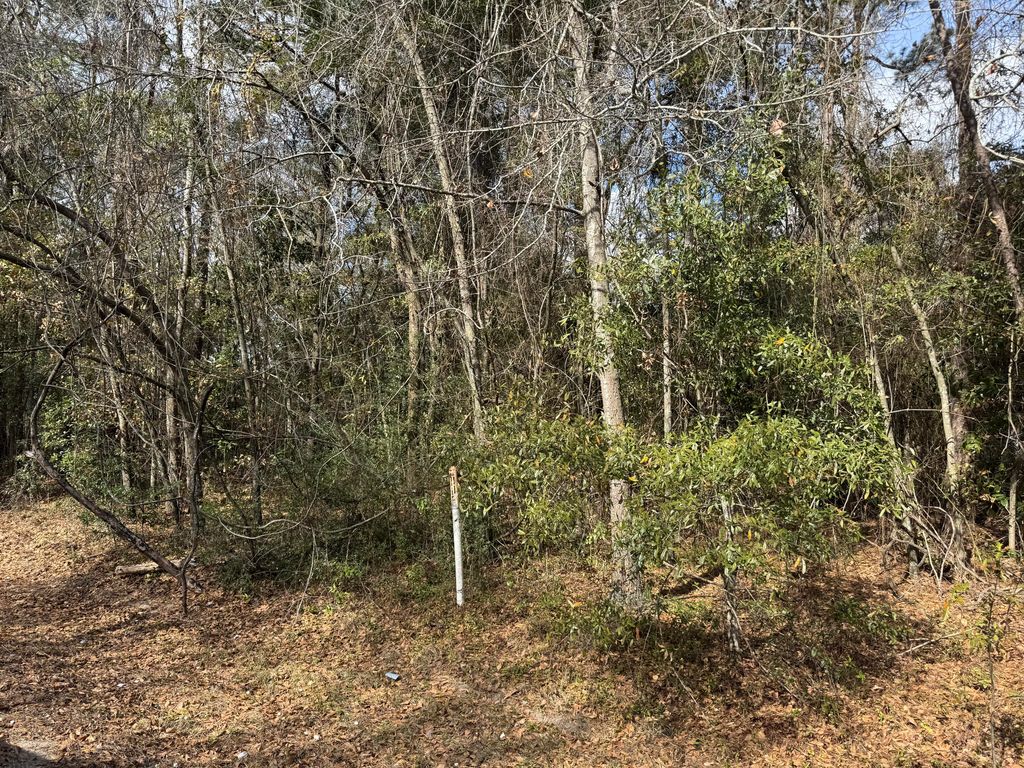 0 Robertson Boulevard, Walterboro, SC 29488