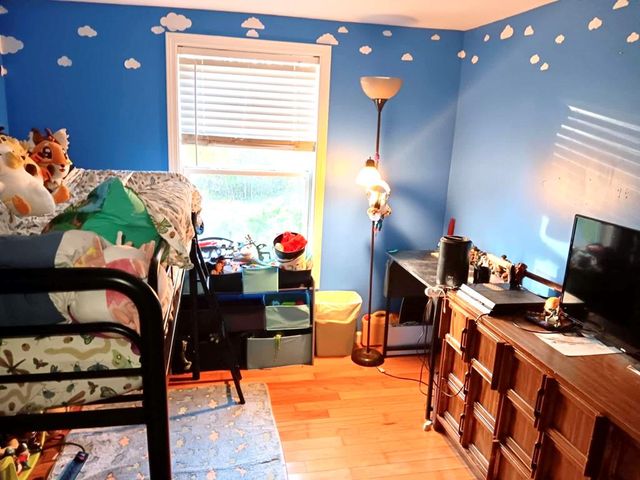 65 Black Oak Ridge Road, Blue Ridge, GA 30513