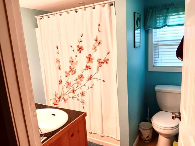 65 Black Oak Ridge Road, Blue Ridge, GA 30513