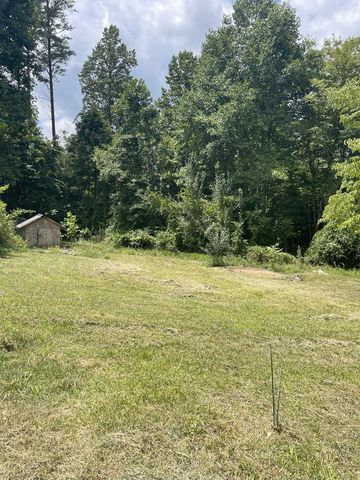 65 Black Oak Ridge Road, Blue Ridge, GA 30513