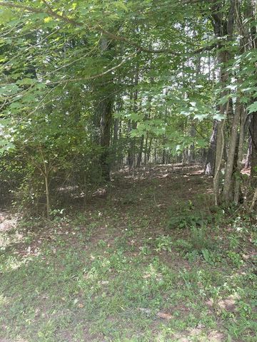 65 Black Oak Ridge Road, Blue Ridge, GA 30513