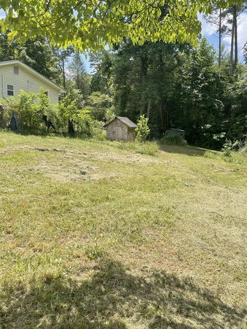 65 Black Oak Ridge Road, Blue Ridge, GA 30513