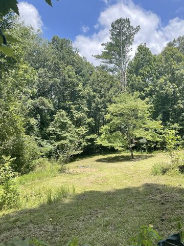 65 Black Oak Ridge Road, Blue Ridge, GA 30513