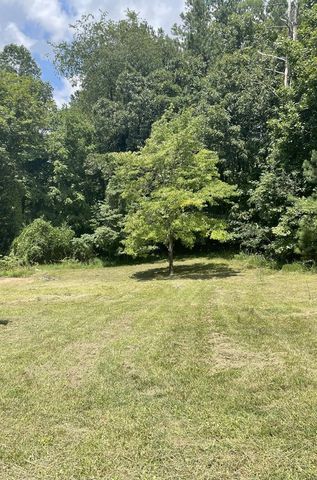 65 Black Oak Ridge Road, Blue Ridge, GA 30513