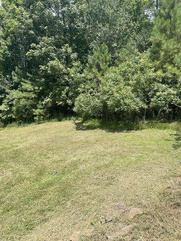 65 Black Oak Ridge Road, Blue Ridge, GA 30513