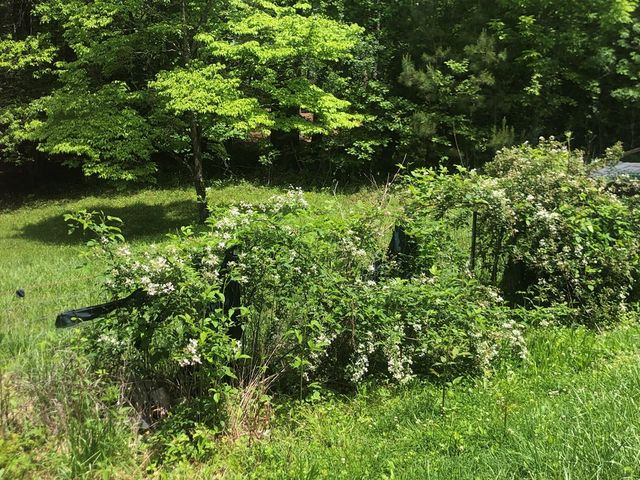 65 Black Oak Ridge Road, Blue Ridge, GA 30513