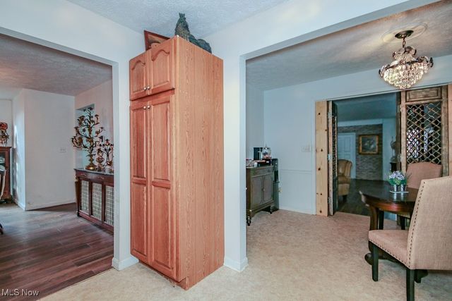 1799 Meadows Drive, Madison, OH 44057