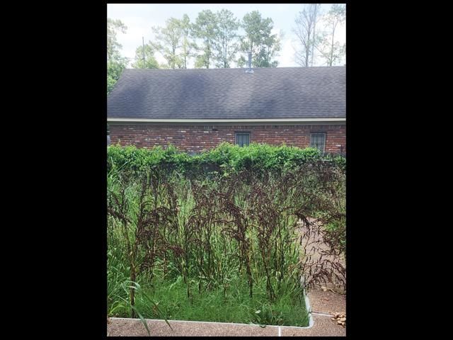 3313 EARL DR, Memphis, TN 38128