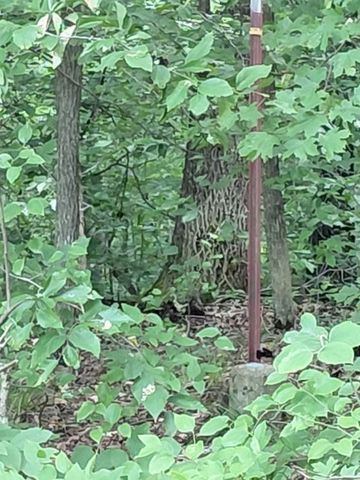 29 GIbbs Rd, Ashland City, TN 37015
