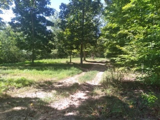 29 GIbbs Rd, Ashland City, TN 37015