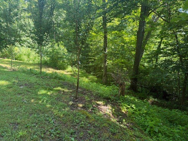29 GIbbs Rd, Ashland City, TN 37015