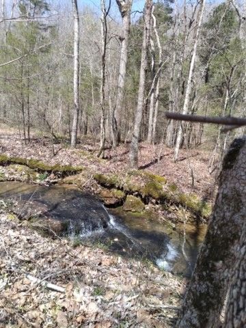 29 GIbbs Rd, Ashland City, TN 37015