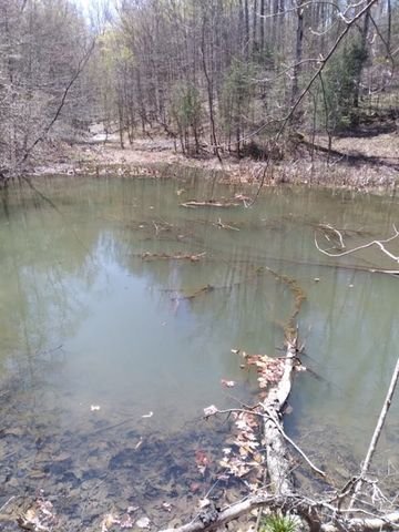 29 GIbbs Rd, Ashland City, TN 37015