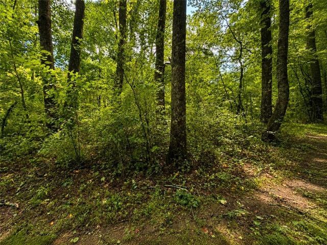 4.06 A Licklog Trail, Ellijay, GA 30536