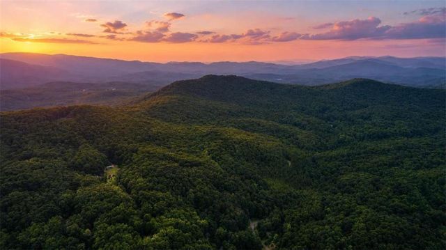 4.06 A Licklog Trail, Ellijay, GA 30536
