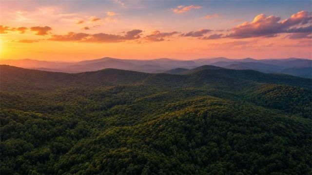 4.06 A Licklog Trail, Ellijay, GA 30536