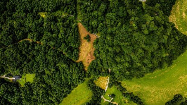 4.06 A Licklog Trail, Ellijay, GA 30536