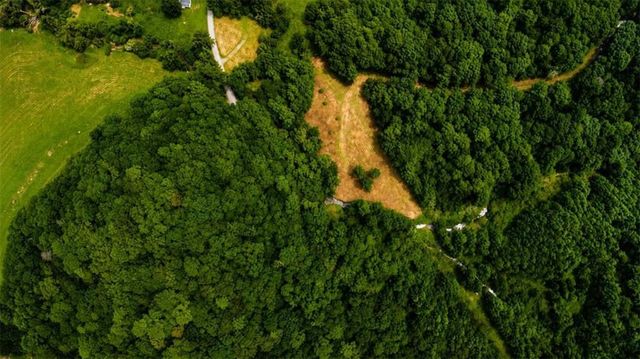 4.06 A Licklog Trail, Ellijay, GA 30536