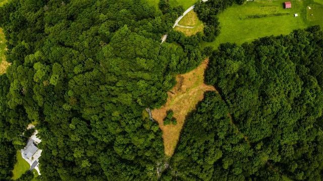 4.06 A Licklog Trail, Ellijay, GA 30536