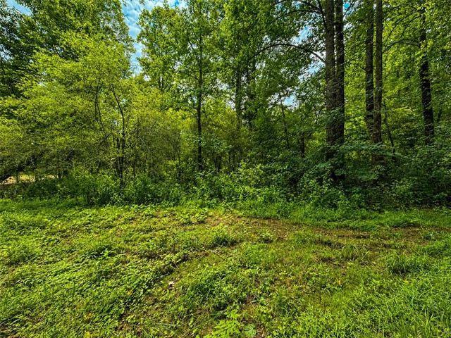 4.06 A Licklog Trail, Ellijay, GA 30536