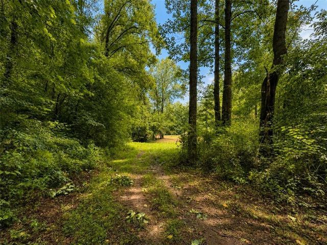 4.06 A Licklog Trail, Ellijay, GA 30536