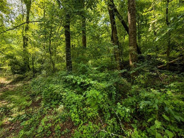 4.06 A Licklog Trail, Ellijay, GA 30536