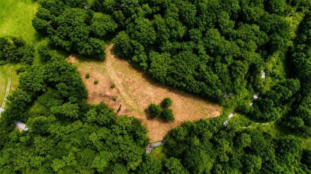 4.06 A Licklog Trail, Ellijay, GA 30536