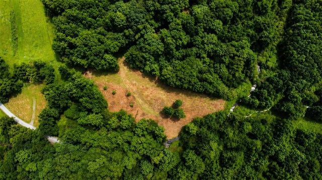 4.06 A Licklog Trail, Ellijay, GA 30536