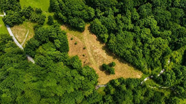4.06 A Licklog Trail, Ellijay, GA 30536
