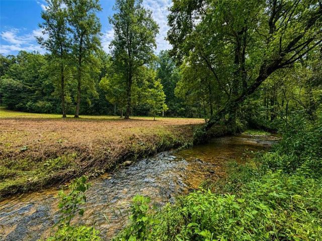 4.06 A Licklog Trail, Ellijay, GA 30536